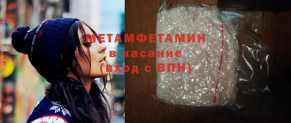 прущие грибы Пестово