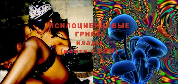 прущие грибы Пестово