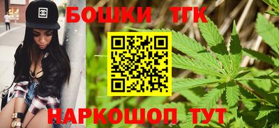 гидра Заводоуковск
