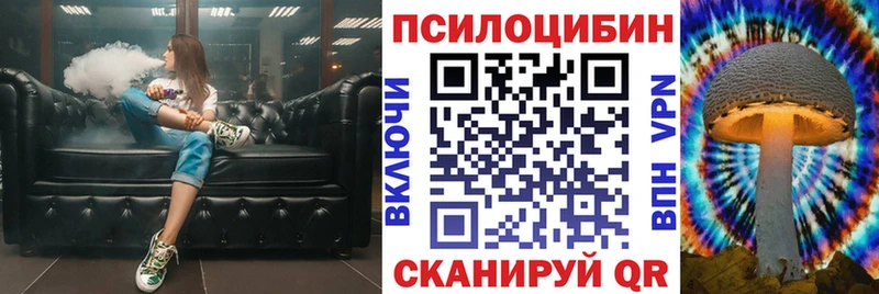 МЕГА ONION  дарнет шоп  Краснокаменск  Псилоцибиновые грибы Psilocybine cubensis 