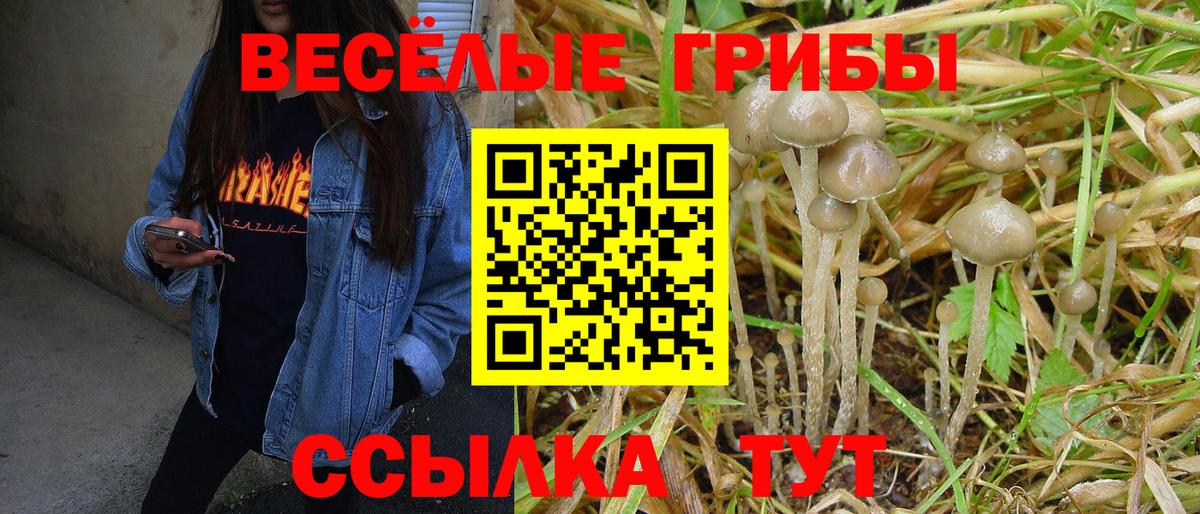 Псилоцибиновые грибы Magic Shrooms Краснокаменск